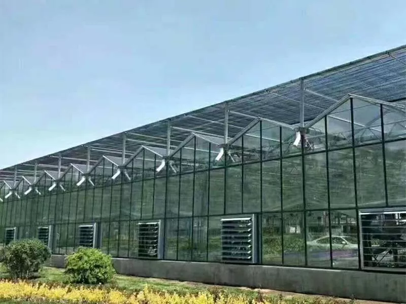 Welche Art von Pflanzen kann in einer vertikalen Stahlfarm angebaut werden?